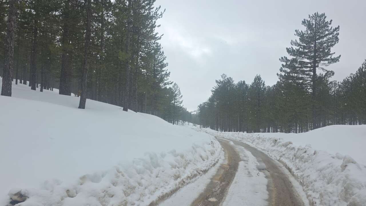 Köyceğiz Ağla Yaylası Beyaza Büründü: Yol Ulaşıma Kapandı 3